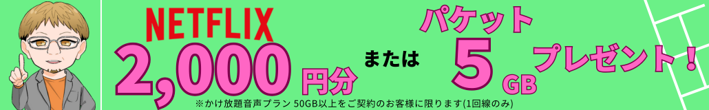 50GB以上のプランご契約でNetwork2000円分また3GBプレゼント